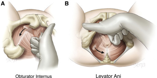 Obr.7